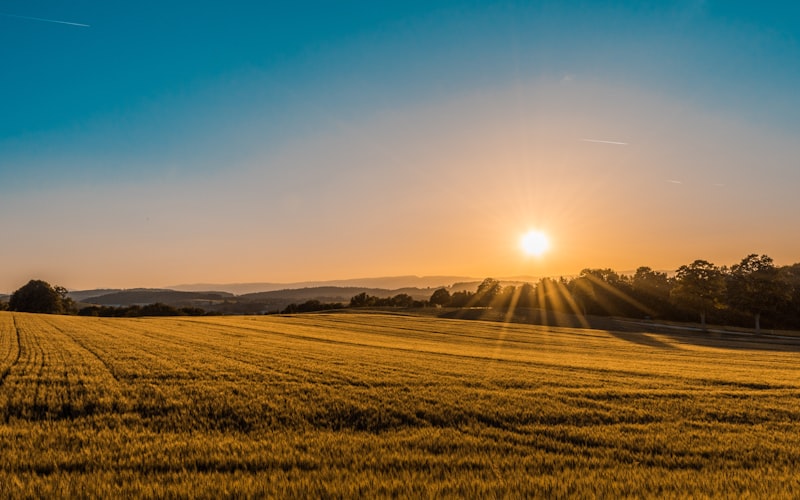 Agriculture — secteur d'activité au Canada